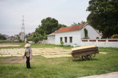 CuDa Köyü - Hanoi - Vietnam - 21 Haziran 2015 - Arrowroot vermicelli- bambu çitleri üzerinde kurutulan özel bir Vietnam eriştesi