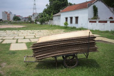 CuDa Köyü - Hanoi - Vietnam - 21 Haziran 2015 - Arrowroot vermicelli- bambu çitleri üzerinde kurutulan özel bir Vietnam eriştesi
