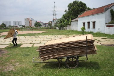 CuDa Köyü - Hanoi - Vietnam - 21 Haziran 2015 - Arrowroot vermicelli- bambu çitleri üzerinde kurutulan özel bir Vietnam eriştesi