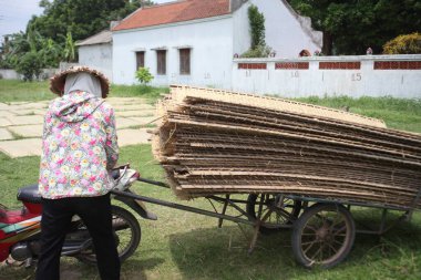 CuDa Köyü - Hanoi - Vietnam - 21 Haziran 2015 - Arrowroot vermicelli- bambu çitleri üzerinde kurutulan özel bir Vietnam eriştesi