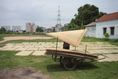 CuDa Köyü - Hanoi - Vietnam - 21 Haziran 2015 - Arrowroot vermicelli- bambu çitleri üzerinde kurutulan özel bir Vietnam eriştesi