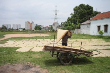CuDa Köyü - Hanoi - Vietnam - 21 Haziran 2015 - Arrowroot vermicelli- bambu çitleri üzerinde kurutulan özel bir Vietnam eriştesi