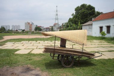 CuDa Köyü - Hanoi - Vietnam - 21 Haziran 2015 - Arrowroot vermicelli- bambu çitleri üzerinde kurutulan özel bir Vietnam eriştesi