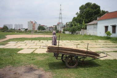 CuDa Köyü - Hanoi - Vietnam - 21 Haziran 2015 - Arrowroot vermicelli- bambu çitleri üzerinde kurutulan özel bir Vietnam eriştesi