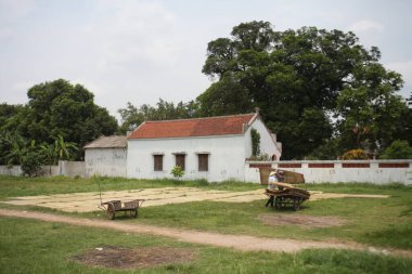 CuDa Köyü - Hanoi - Vietnam - 21 Haziran 2015 - Arrowroot vermicelli- bambu çitleri üzerinde kurutulan özel bir Vietnam eriştesi