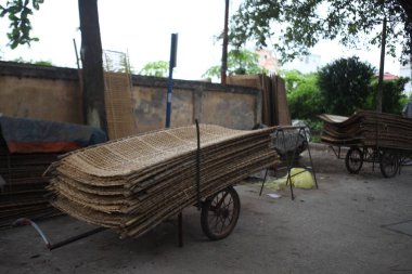 CuDa Köyü - Hanoi - Vietnam - 21 Haziran 2015 - Arrowroot vermicelli- bambu çitleri üzerinde kurutulan özel bir Vietnam eriştesi