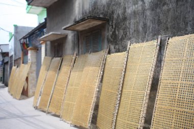 CuDa Köyü - Hanoi - Vietnam - 21 Haziran 2015 - Arrowroot vermicelli- bambu çitleri üzerinde kurutulan özel bir Vietnam eriştesi