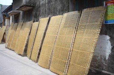 CuDa Köyü - Hanoi - Vietnam - 21 Haziran 2015 - Arrowroot vermicelli- bambu çitleri üzerinde kurutulan özel bir Vietnam eriştesi