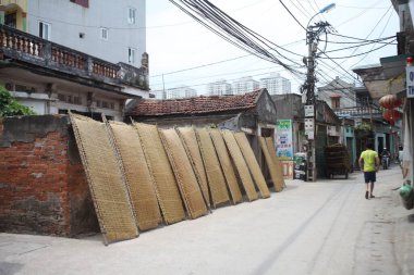 CuDa Köyü - Hanoi - Vietnam - 21 Haziran 2015 - Arrowroot vermicelli- bambu çitleri üzerinde kurutulan özel bir Vietnam eriştesi