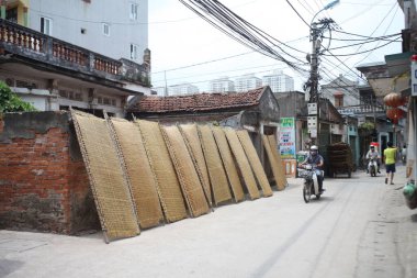 CuDa Köyü - Hanoi - Vietnam - 21 Haziran 2015 - Arrowroot vermicelli- bambu çitleri üzerinde kurutulan özel bir Vietnam eriştesi