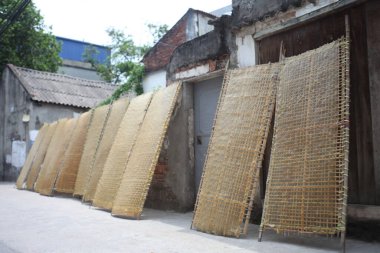 CuDa Köyü - Hanoi - Vietnam - 21 Haziran 2015 - Arrowroot vermicelli- bambu çitleri üzerinde kurutulan özel bir Vietnam eriştesi