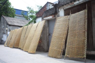CuDa Köyü - Hanoi - Vietnam - 21 Haziran 2015 - Arrowroot vermicelli- bambu çitleri üzerinde kurutulan özel bir Vietnam eriştesi