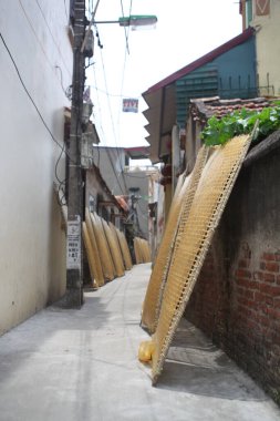CuDa Köyü - Hanoi - Vietnam - 21 Haziran 2015 - Arrowroot vermicelli- bambu çitleri üzerinde kurutulan özel bir Vietnam eriştesi