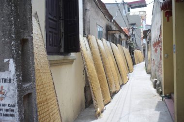 CuDa Köyü - Hanoi - Vietnam - 21 Haziran 2015 - Arrowroot vermicelli- bambu çitleri üzerinde kurutulan özel bir Vietnam eriştesi
