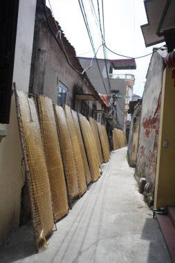 CuDa Köyü - Hanoi - Vietnam - 21 Haziran 2015 - Arrowroot vermicelli- bambu çitleri üzerinde kurutulan özel bir Vietnam eriştesi