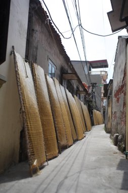 CuDa Köyü - Hanoi - Vietnam - 21 Haziran 2015 - Arrowroot vermicelli- bambu çitleri üzerinde kurutulan özel bir Vietnam eriştesi