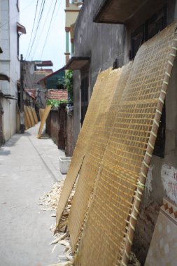 CuDa Köyü - Hanoi - Vietnam - 21 Haziran 2015 - Arrowroot vermicelli- bambu çitleri üzerinde kurutulan özel bir Vietnam eriştesi