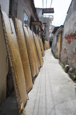 CuDa Köyü - Hanoi - Vietnam - 21 Haziran 2015 - Arrowroot vermicelli- bambu çitleri üzerinde kurutulan özel bir Vietnam eriştesi