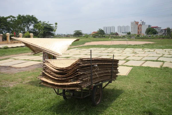 CuDa Köyü - Hanoi - Vietnam - 21 Haziran 2015 - Arrowroot vermicelli- bambu çitleri üzerinde kurutulan özel bir Vietnam eriştesi