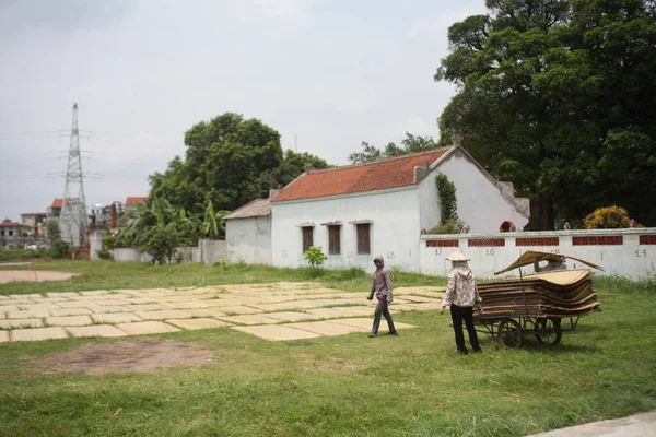 CuDa Köyü - Hanoi - Vietnam - 21 Haziran 2015 - Arrowroot vermicelli- bambu çitleri üzerinde kurutulan özel bir Vietnam eriştesi
