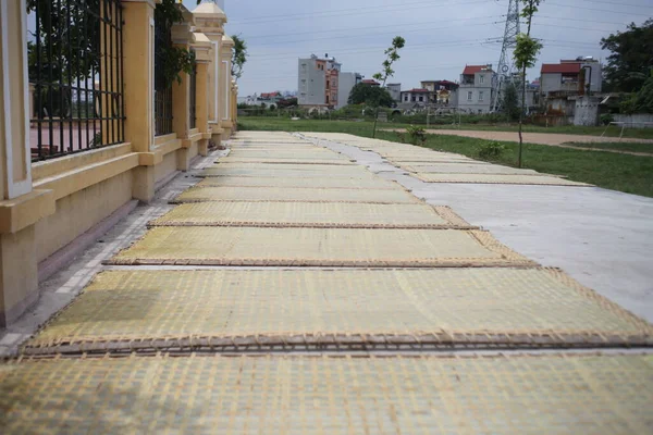 CuDa Köyü - Hanoi - Vietnam - 21 Haziran 2015 - Arrowroot vermicelli- bambu çitleri üzerinde kurutulan özel bir Vietnam eriştesi