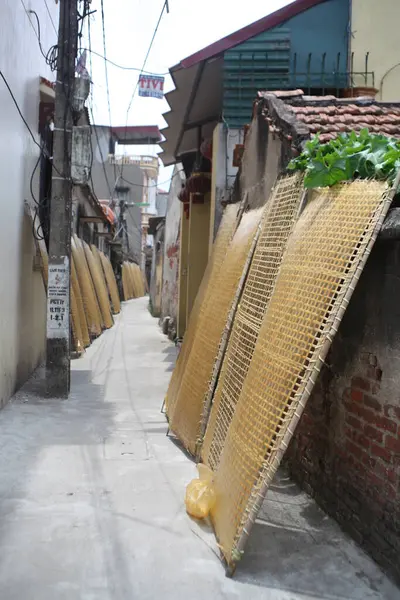 CuDa Köyü - Hanoi - Vietnam - 21 Haziran 2015 - Arrowroot vermicelli- bambu çitleri üzerinde kurutulan özel bir Vietnam eriştesi