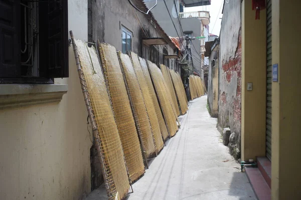 CuDa Köyü - Hanoi - Vietnam - 21 Haziran 2015 - Arrowroot vermicelli- bambu çitleri üzerinde kurutulan özel bir Vietnam eriştesi