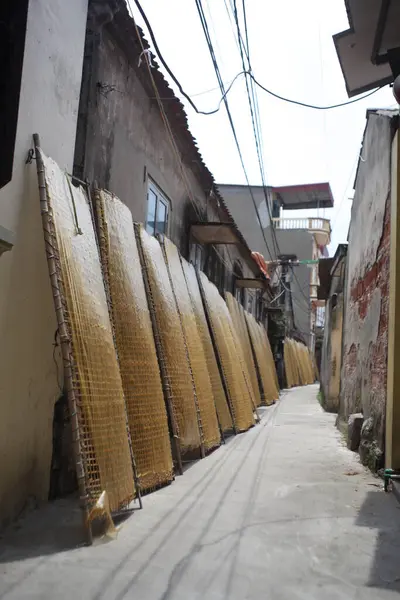 CuDa Köyü - Hanoi - Vietnam - 21 Haziran 2015 - Arrowroot vermicelli- bambu çitleri üzerinde kurutulan özel bir Vietnam eriştesi