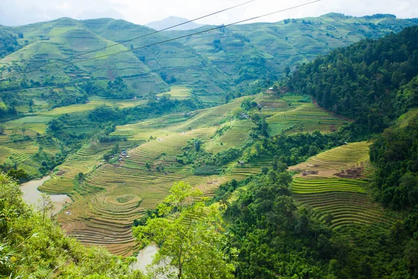 Campos Arroz Terrazas Temporada Lluvias Sapa Lao Cai Vietnam Campos — Foto de Stock