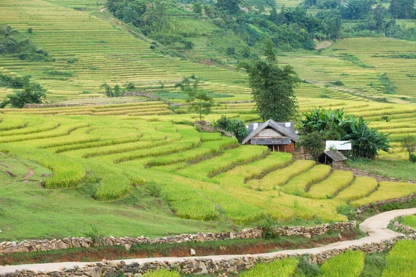 Campos Arroz Terraços Estação Chuvosa Sapa Lao Cai Vietnã Campos — Fotografia de Stock