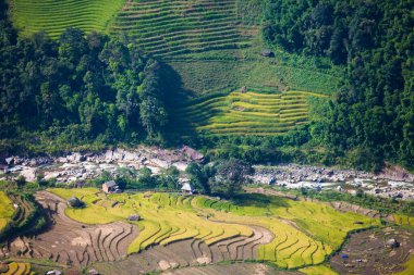Vietnam 'da Sapa yakınlarında teraslı pirinç tarlası..