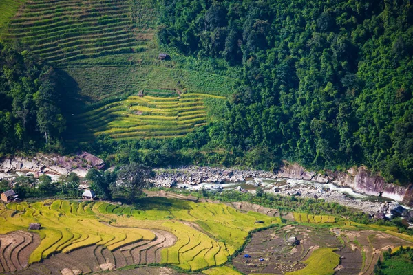 Terraço Paisagem Campo Arroz Perto Sapa Vietnã — Fotografia de Stock