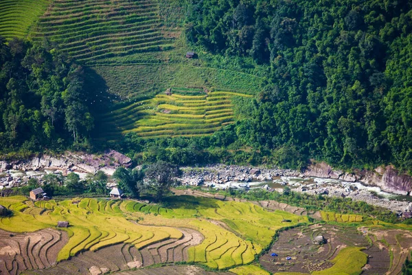 Terraço Paisagem Campo Arroz Perto Sapa Vietnã — Fotografia de Stock