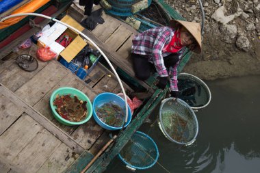 Ha Long Körfezi, Vietnam-29 Kasım 2014: Ha long Bay 'de balıkçı teknesi, Halong Körfezi, Vietnam, Güneydoğu Asi