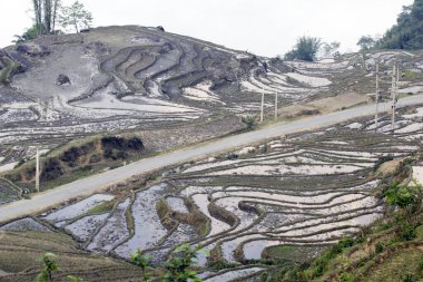 Laocai Vietnam 18 Nisan 2015 Vietnam çeltik tarlaları, teras kültürü, Sapa, Vietnam