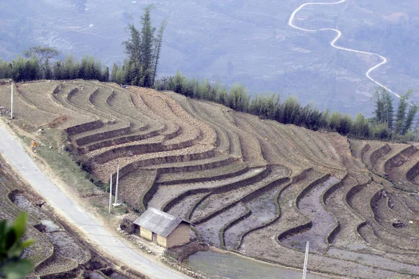 Laocai Vietnã Abril 2015 Vietnã Campos Paddy Cultura Terraços Sapa — Fotografia de Stock