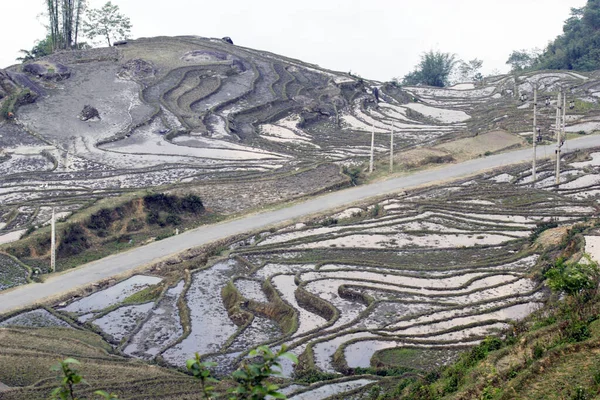 Laocai Vietnã Abril 2015 Vietnã Campos Paddy Cultura Terraços Sapa — Fotografia de Stock