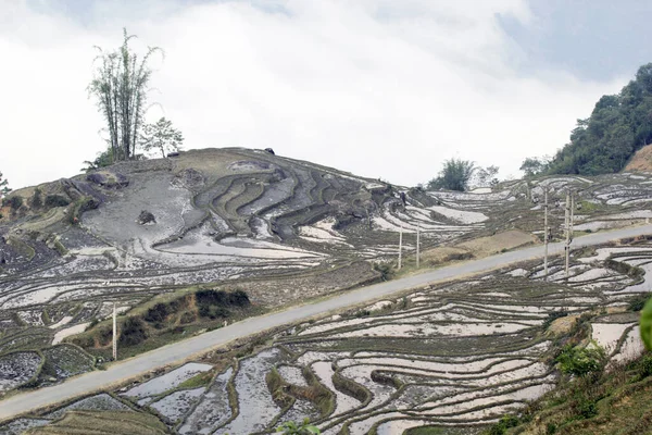 Laocai Vietnã Abril 2015 Vietnã Campos Paddy Cultura Terraços Sapa — Fotografia de Stock