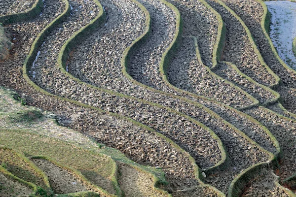 Laocai Vietnã Abril 2015 Vietnã Campos Paddy Cultura Terraços Sapa — Fotografia de Stock