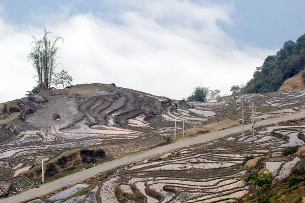 Laocai Vietnã Abril 2015 Vietnã Campos Paddy Cultura Terraços Sapa — Fotografia de Stock