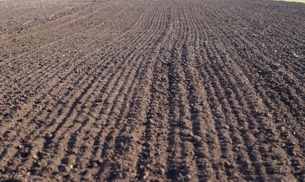 Ploughed field in spring prepared for sowing. — Stock Photo, Image