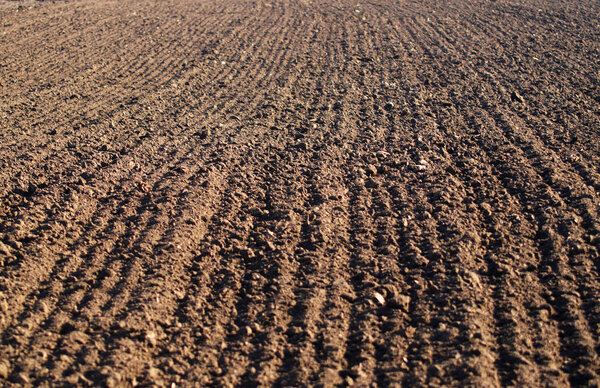 Ploughed field in spring prepared for sowing.  