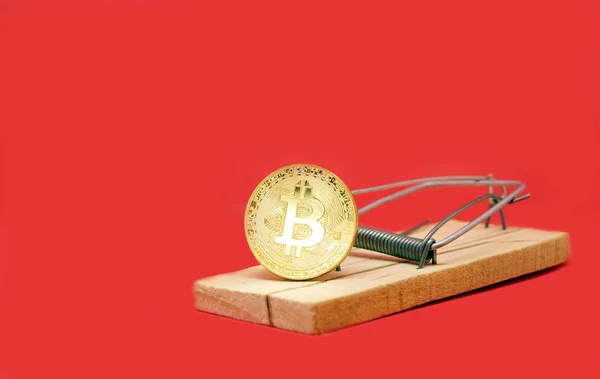 Mausefalle mit Gold-Bitcoin auf rotem Hintergrund. Risiken und Gefahren der Investition in Bitcoin. Seifenblase der Kryptowährung. Kopierraum. — Stockbild Mausefalle mit Gold-Bitcoin. — Stockfoto