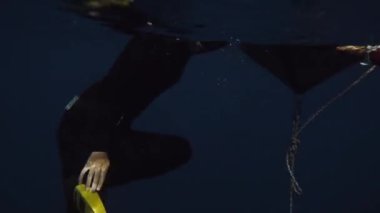 şamandıra yüzgeçleri üstlenerek ücretsiz diver