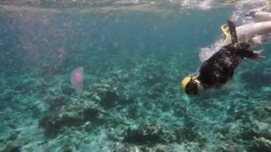 Red Sea'deki/daki mercan resif keşfetmek ücretsiz diver