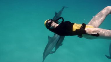 Yunuslar denizde birlikte freediver kız