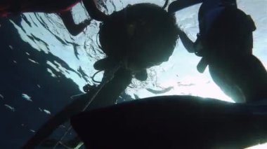 Ücretsiz dalgıçlar dalış şamandıra için hazırlık