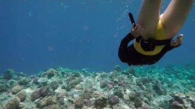 Mercan resif keşfetmek ücretsiz dalgıç kız