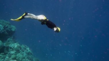 Deniz özgür dalgıç su altında