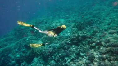 Mercan Denizi'nde keşfetmek Freediver